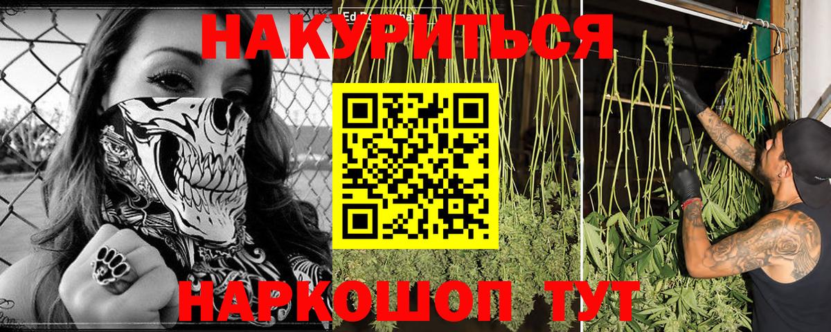 Конопля гибрид Ижевск